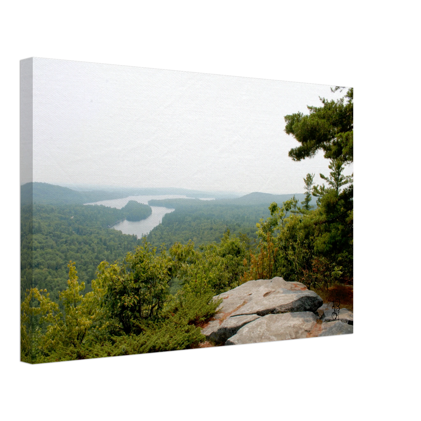 1046e595-3d5b-402e-a41a-96187ad751e0