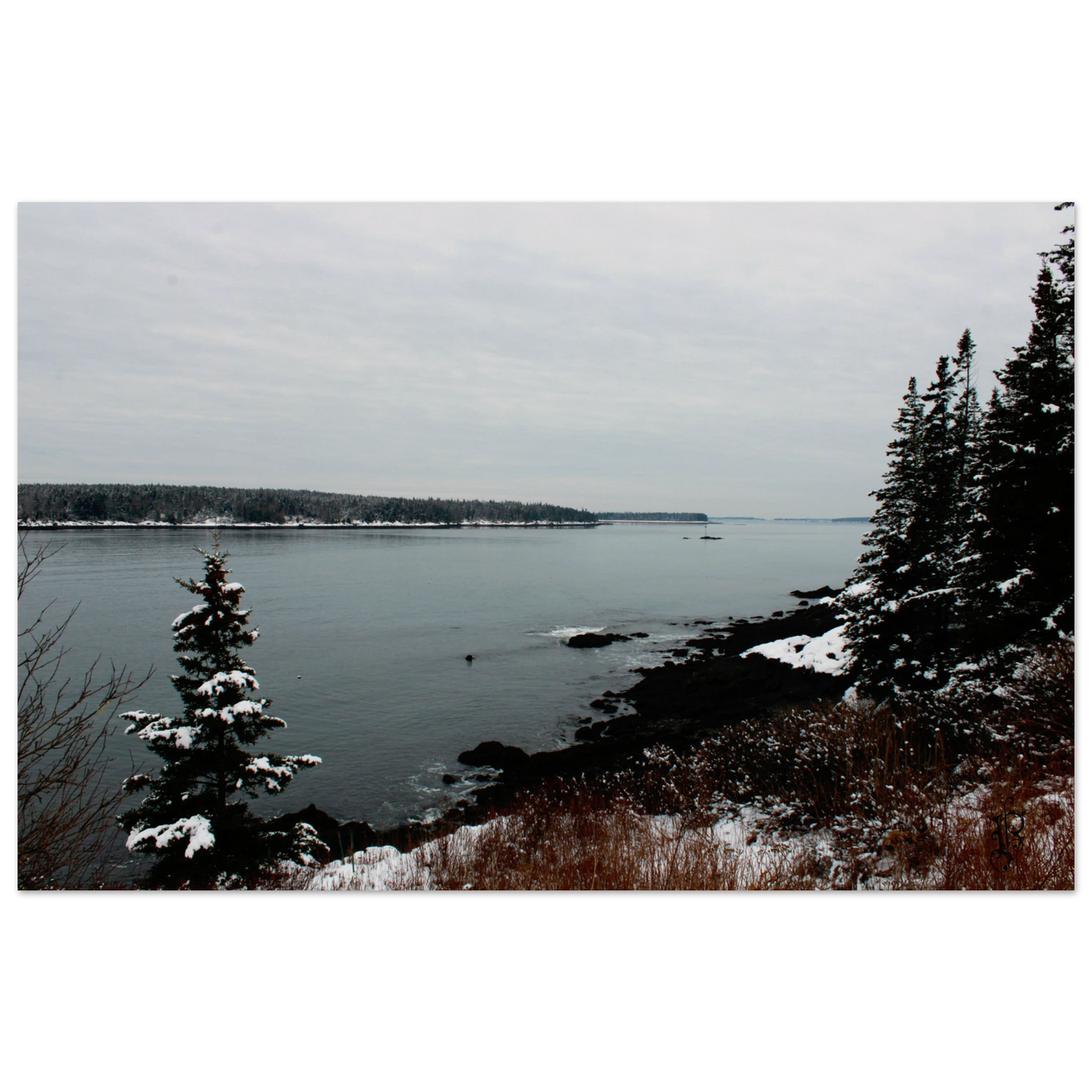 113f0067-2a62-4723-aeff-ee904724e588