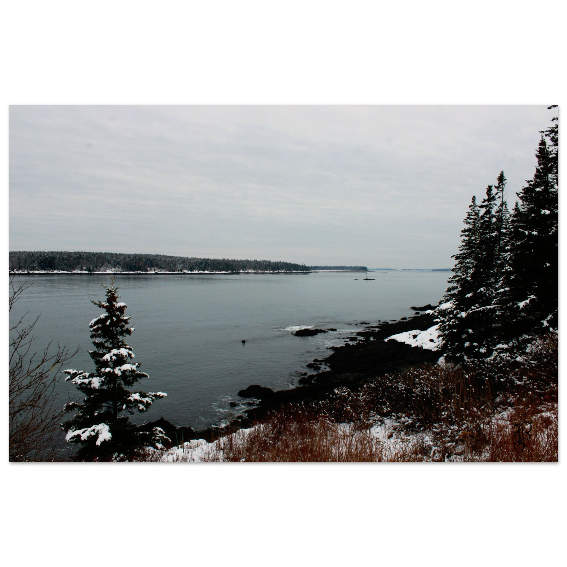 113f0067-2a62-4723-aeff-ee904724e588