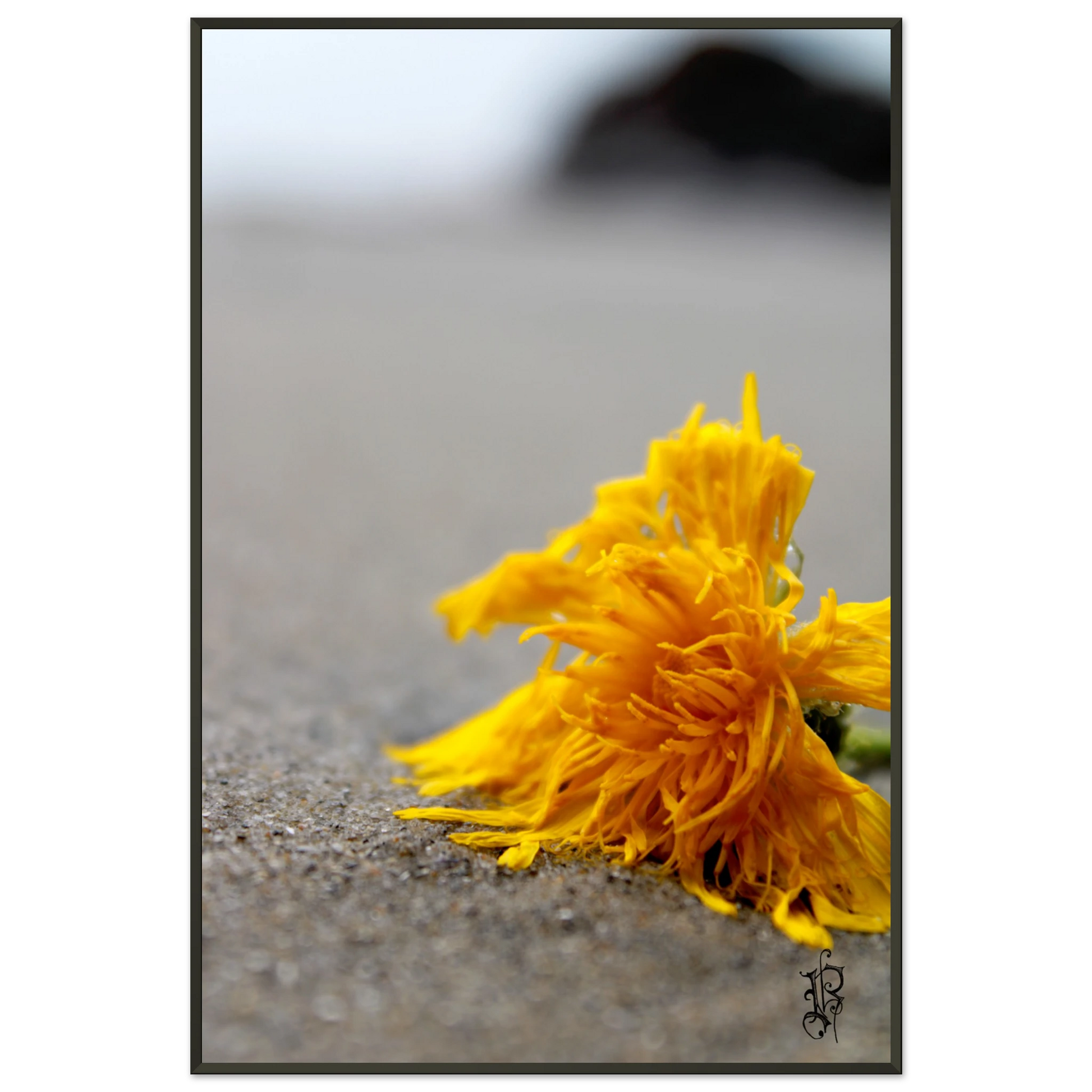 11438be8-6bf1-4033-a70c-be40181ea57d