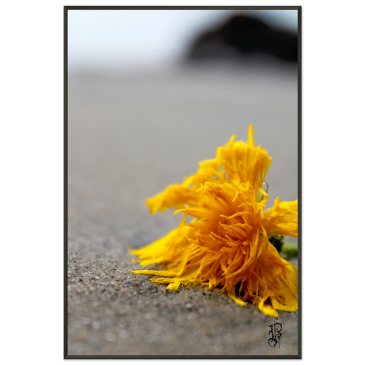 11438be8-6bf1-4033-a70c-be40181ea57d