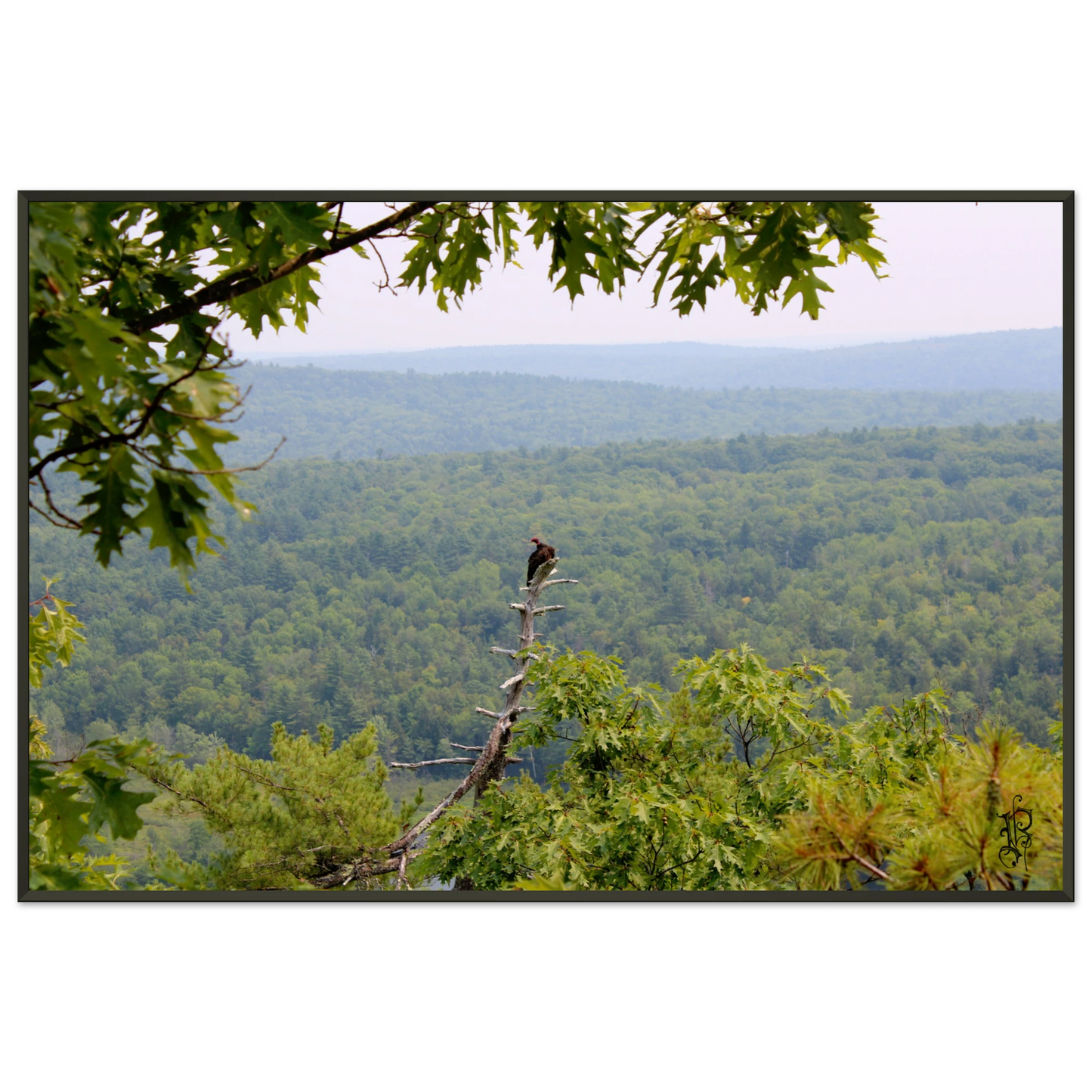 164e20b2-0cf0-47f3-ac51-5d1c70acae8c