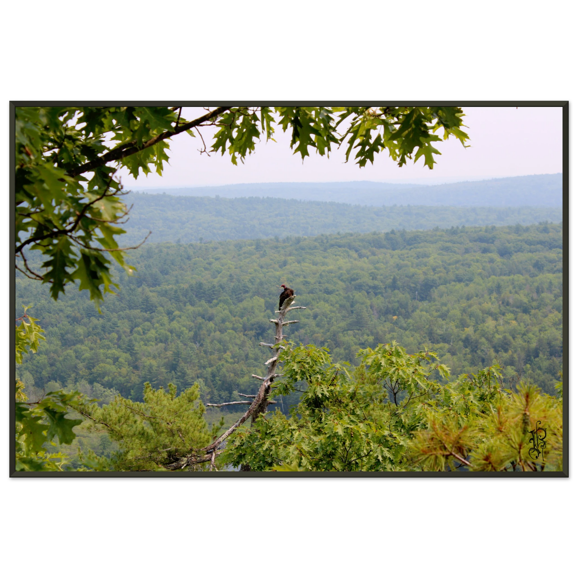 164e20b2-0cf0-47f3-ac51-5d1c70acae8c