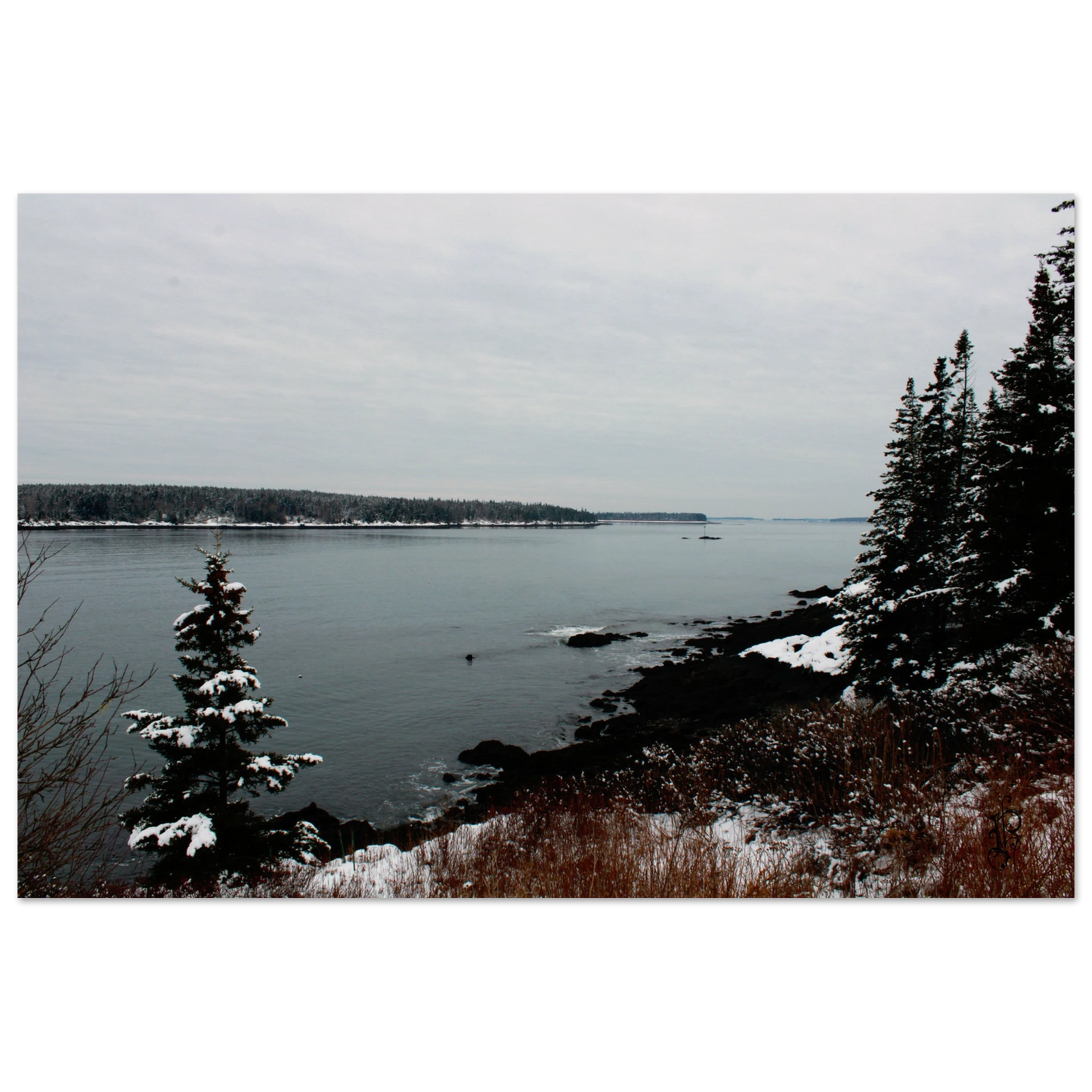 179a51f5-77e9-43fb-9ff3-5ce6f1c4d9eb