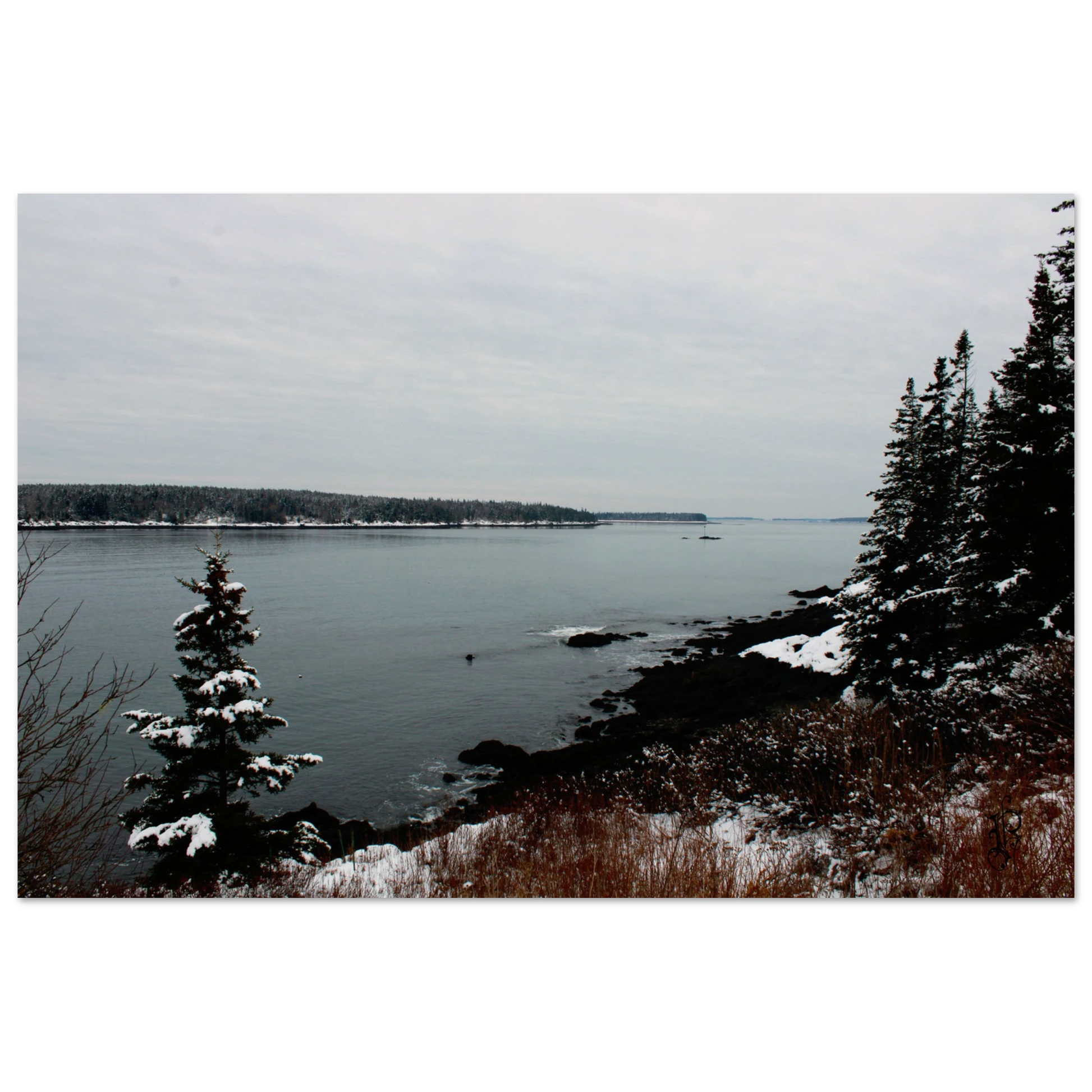 179a51f5-77e9-43fb-9ff3-5ce6f1c4d9eb