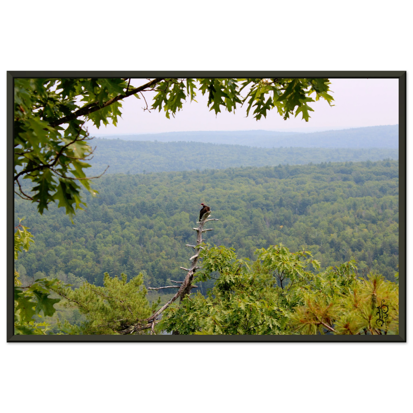 1b88bbda-cfac-4473-9328-11fb6da065d9