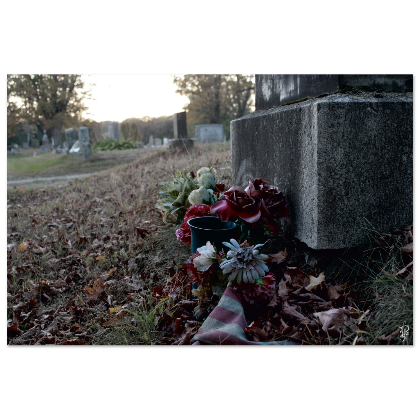 1d40c888-ae37-4bd2-adda-3a0ae911ee75