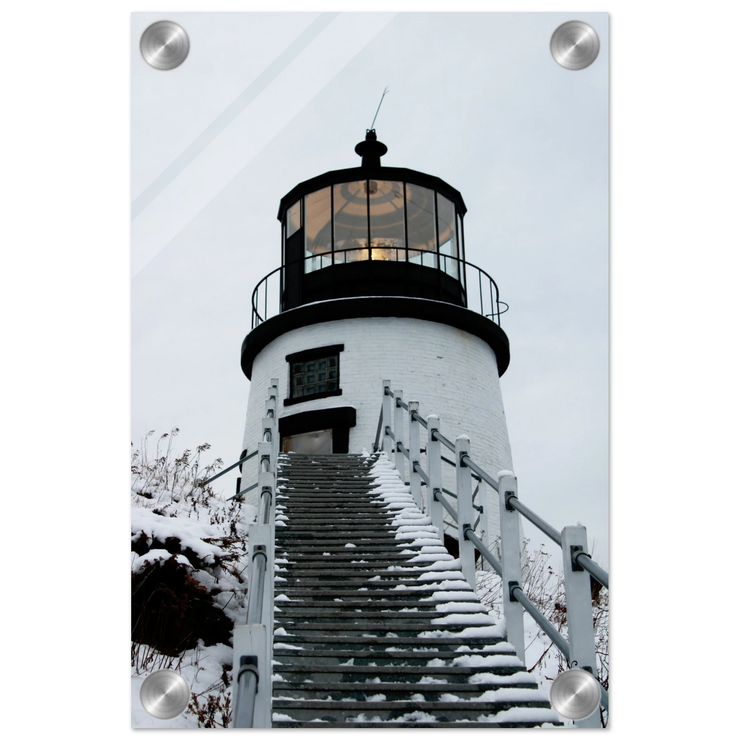 217ec594-1b17-4273-a333-b3baaea2a6e5