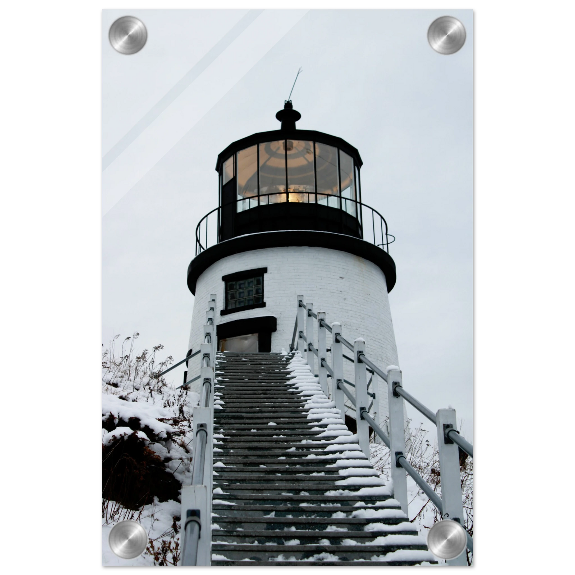 217ec594-1b17-4273-a333-b3baaea2a6e5