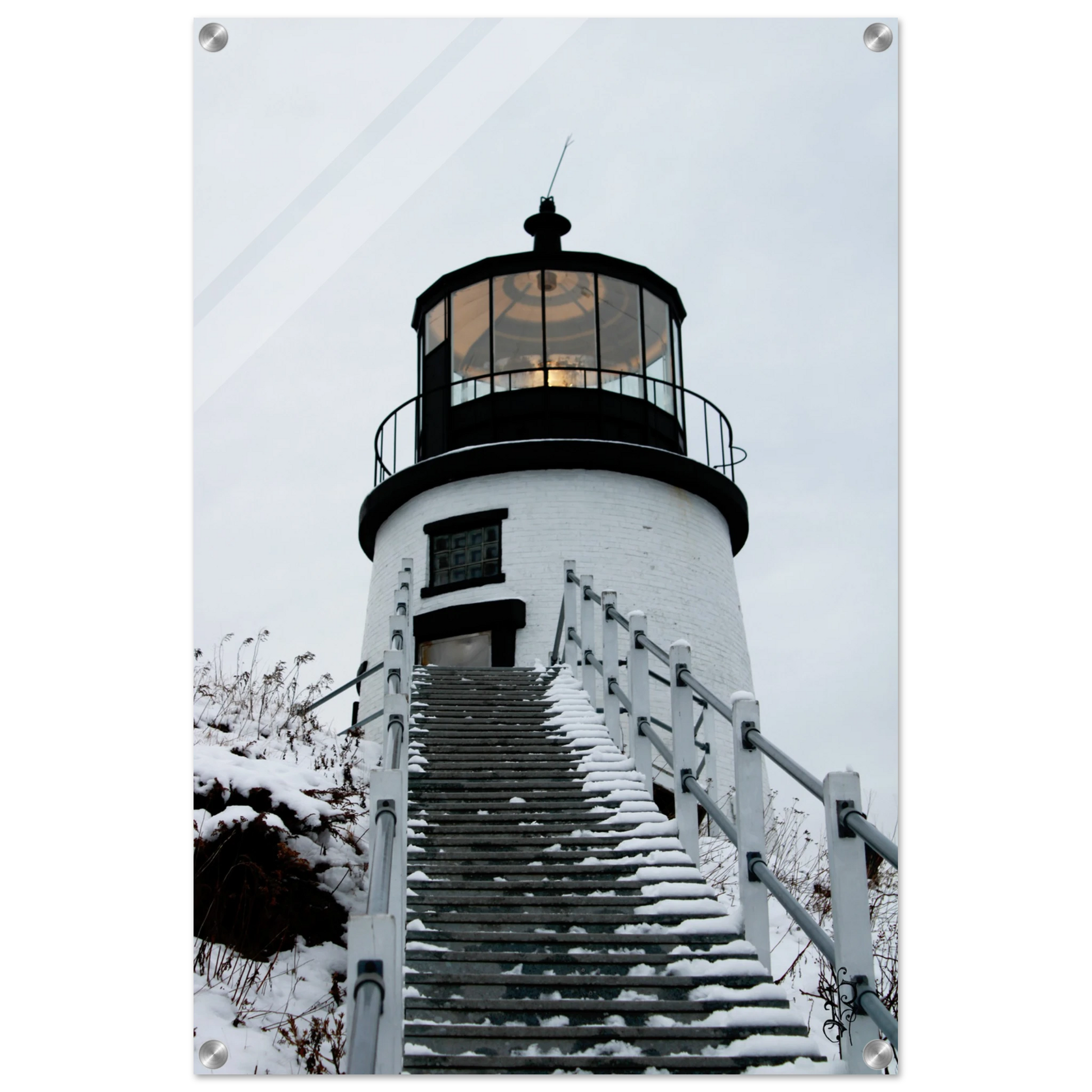 2a107b17-1e99-4e64-bcef-2ed36742607f