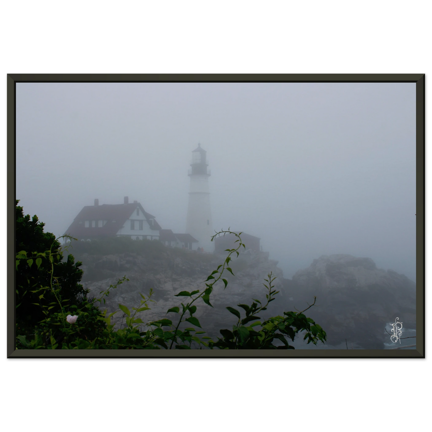 2c251343-0314-4a49-bb0f-e2765199edd9