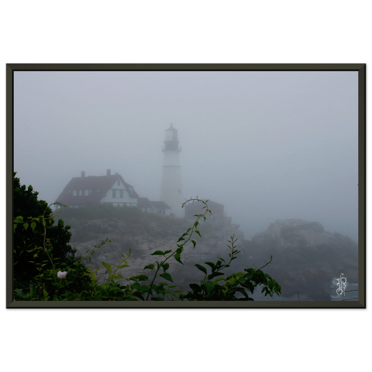 2c251343-0314-4a49-bb0f-e2765199edd9