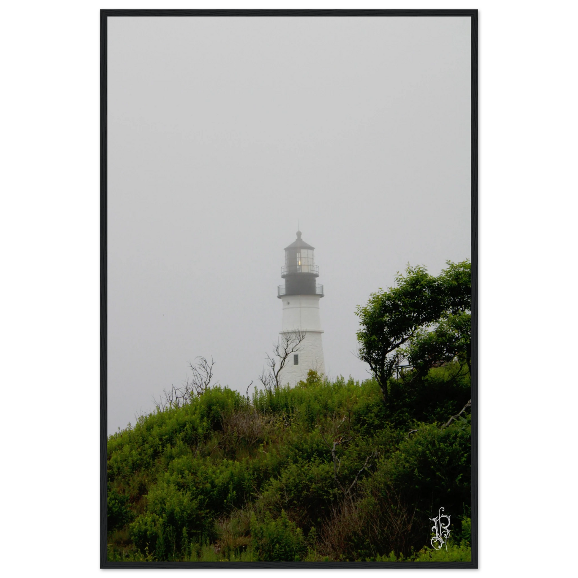 2c3478f7-4b28-48eb-a64c-f748fad06c85