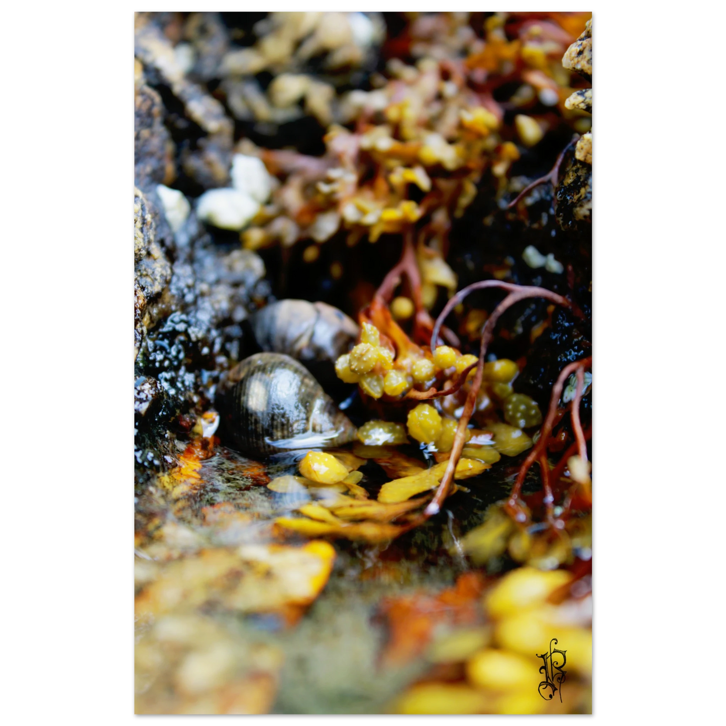 35afb8bb-36bd-4ee6-a659-fe56b6617264