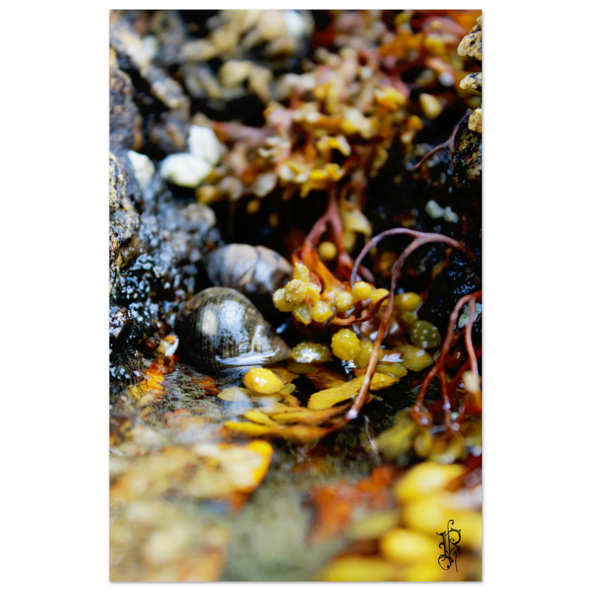 35afb8bb-36bd-4ee6-a659-fe56b6617264