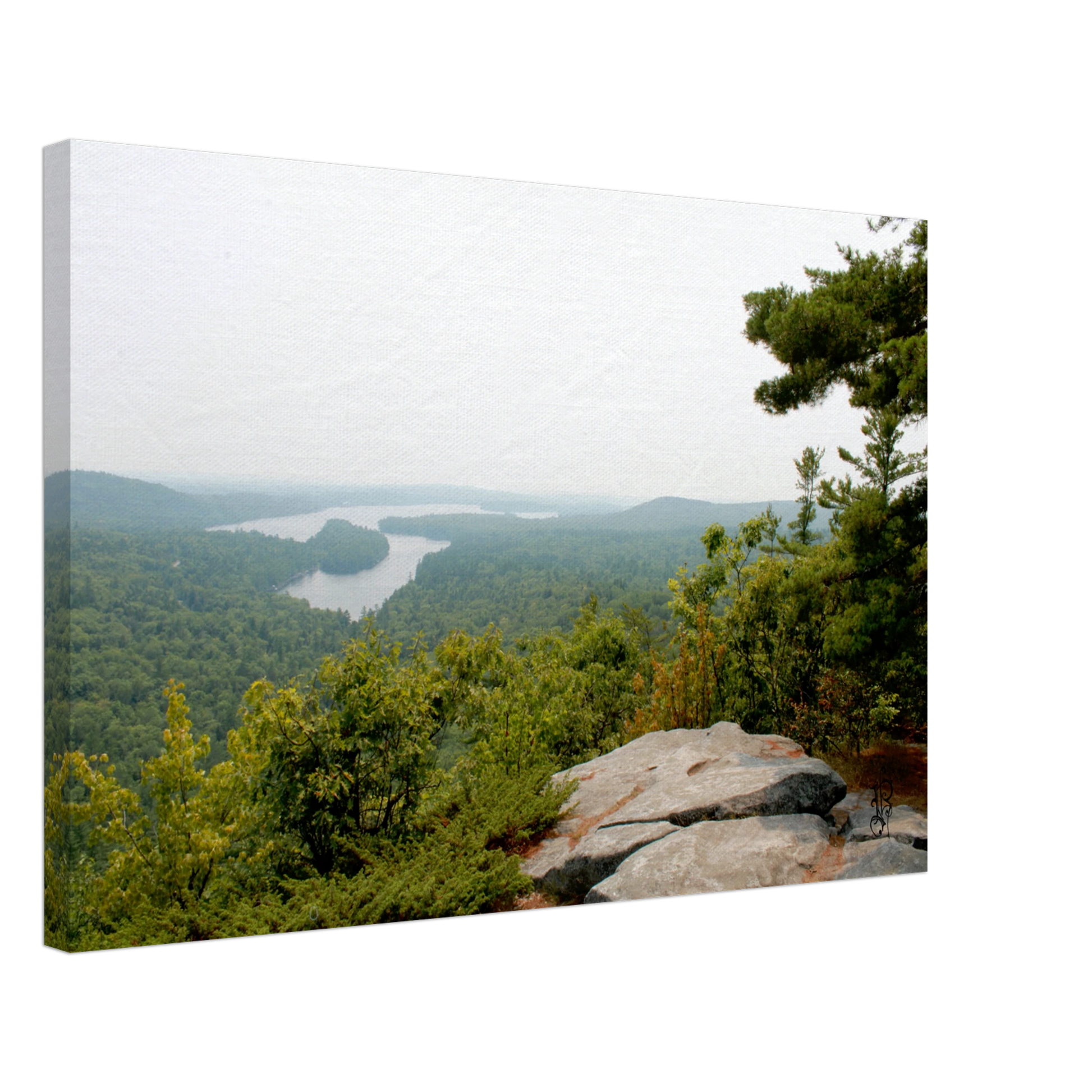 3bca909a-8bda-4065-a982-6a0df73ae59a