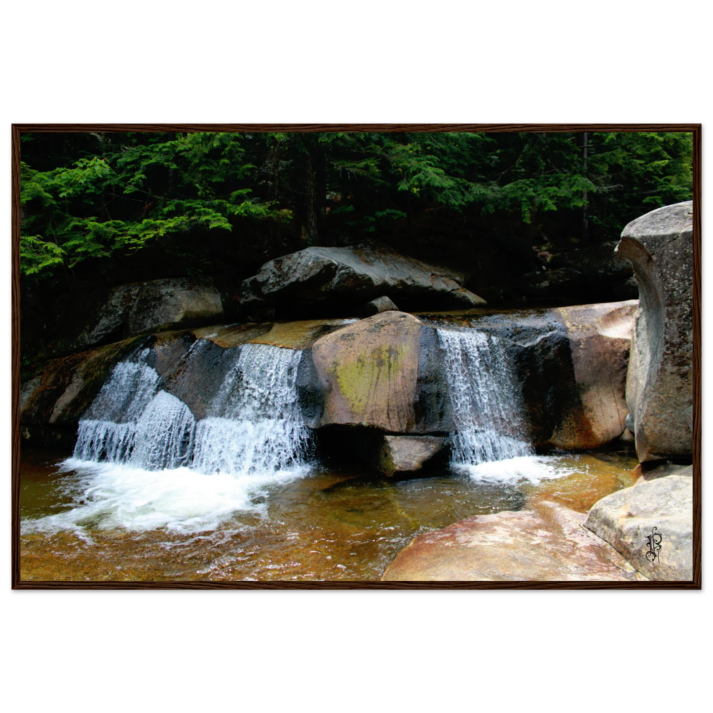 4183f154-b3ed-4a23-9441-1e8aa7653651