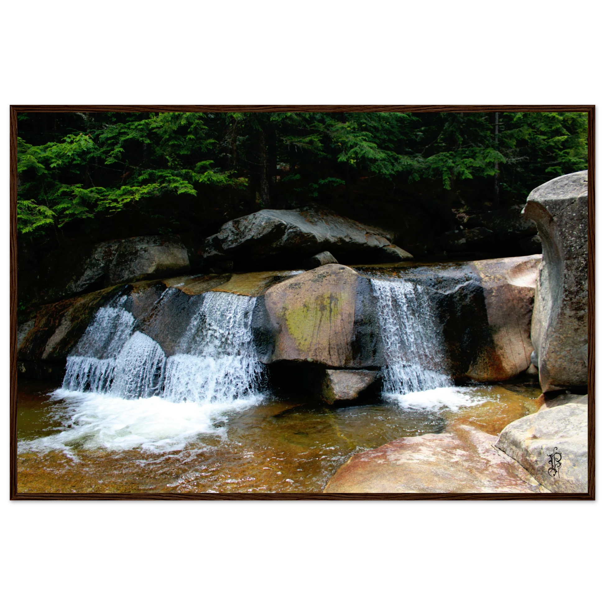 4183f154-b3ed-4a23-9441-1e8aa7653651