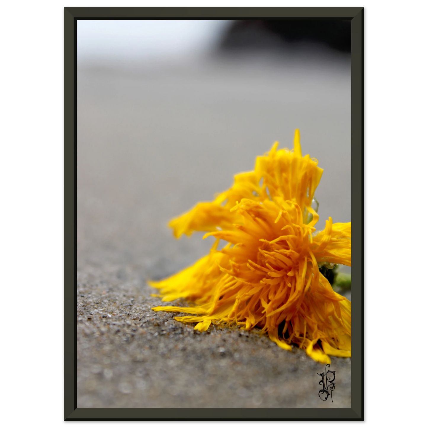 4252d35c-12d1-4d72-8433-f0c9af4f0a98