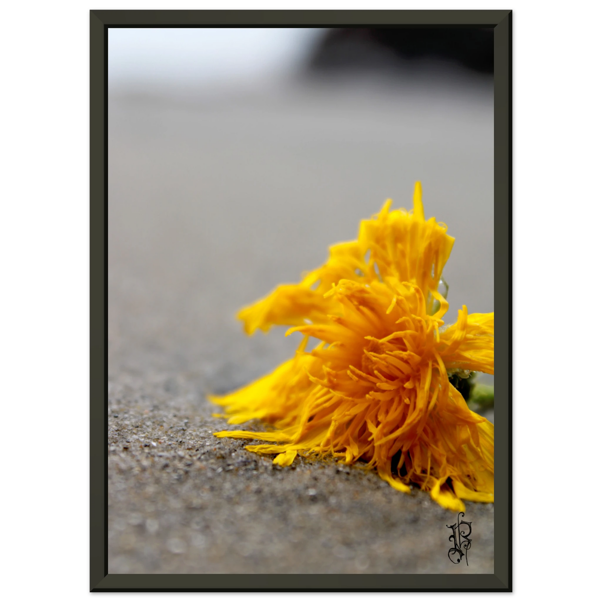 4252d35c-12d1-4d72-8433-f0c9af4f0a98