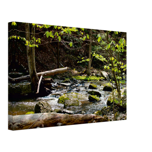 Magical Creek - Canvas