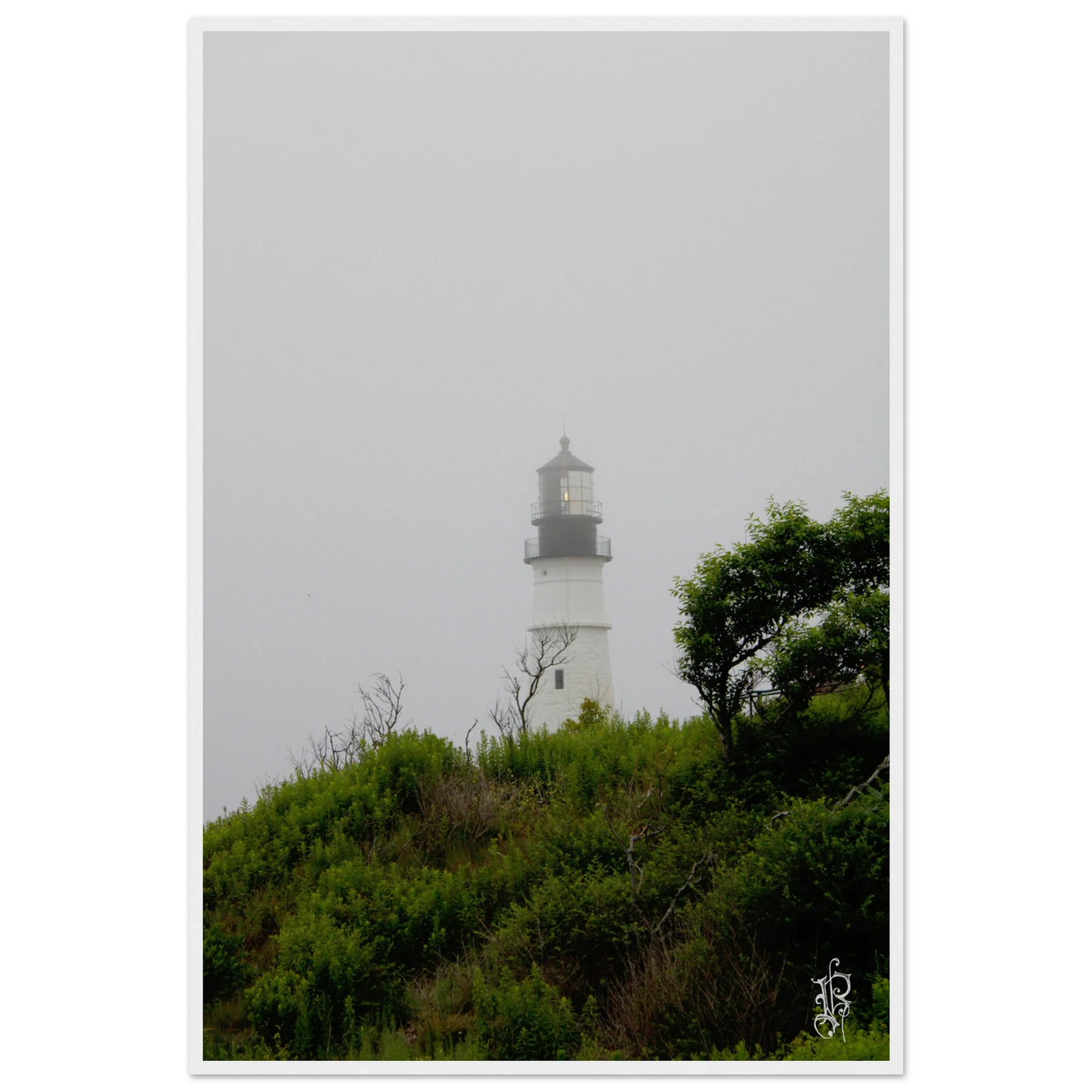 6952f467-7712-4415-8a70-1aa753f7cc75