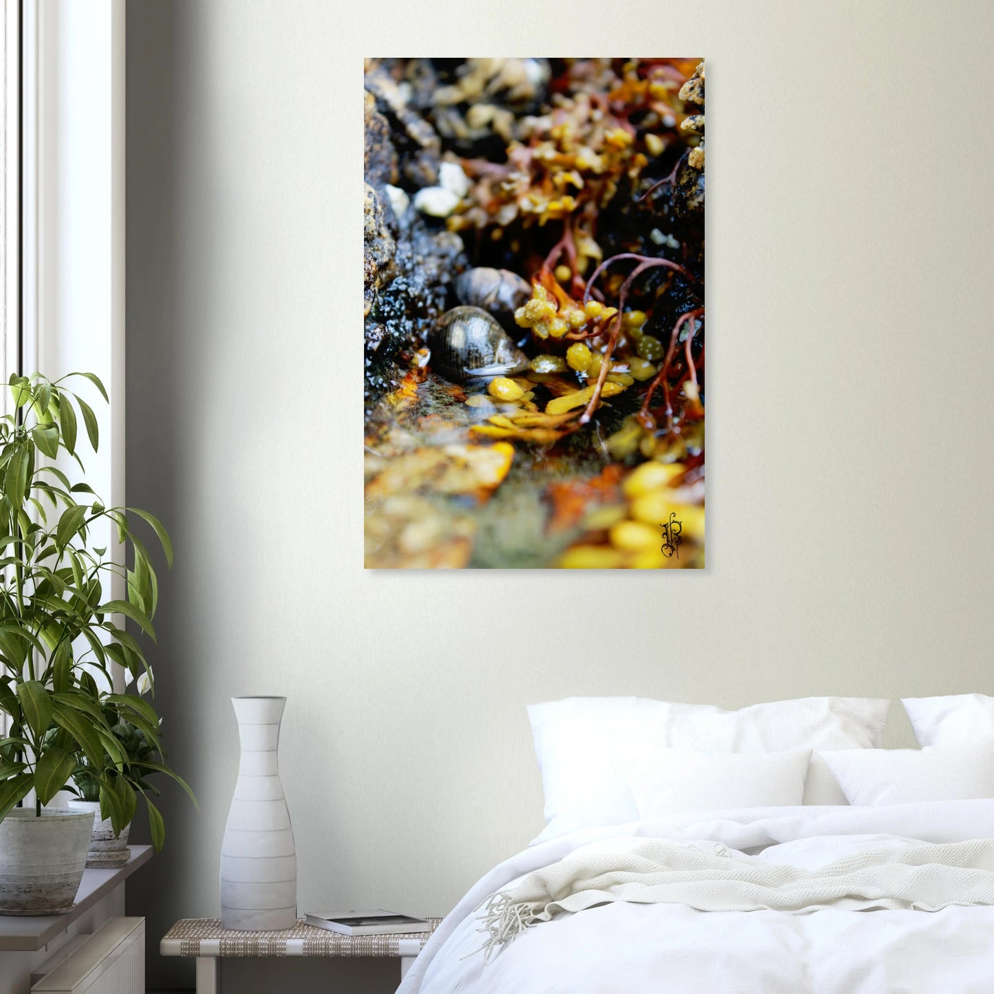 6a1d6f66-9544-4776-b6e5-093e27fd81a8