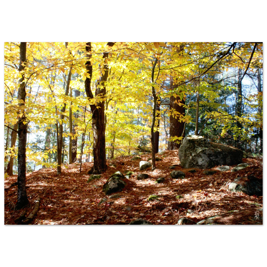 6f487bda-ad6e-4633-beed-81fe687fe5c8