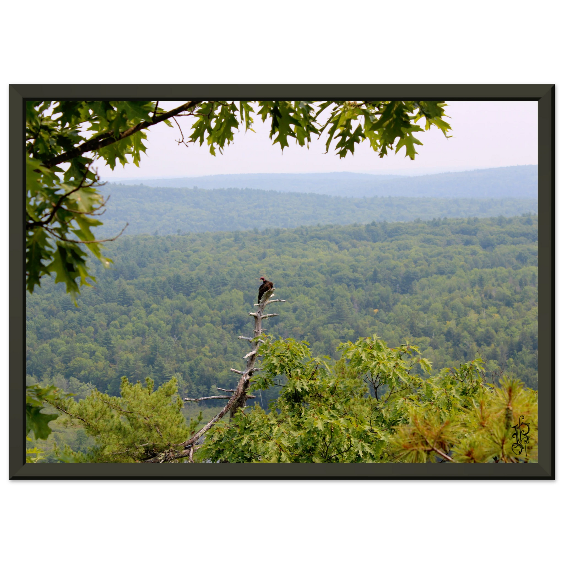 71f615bf-46f7-42e0-873c-3375f91d08e3