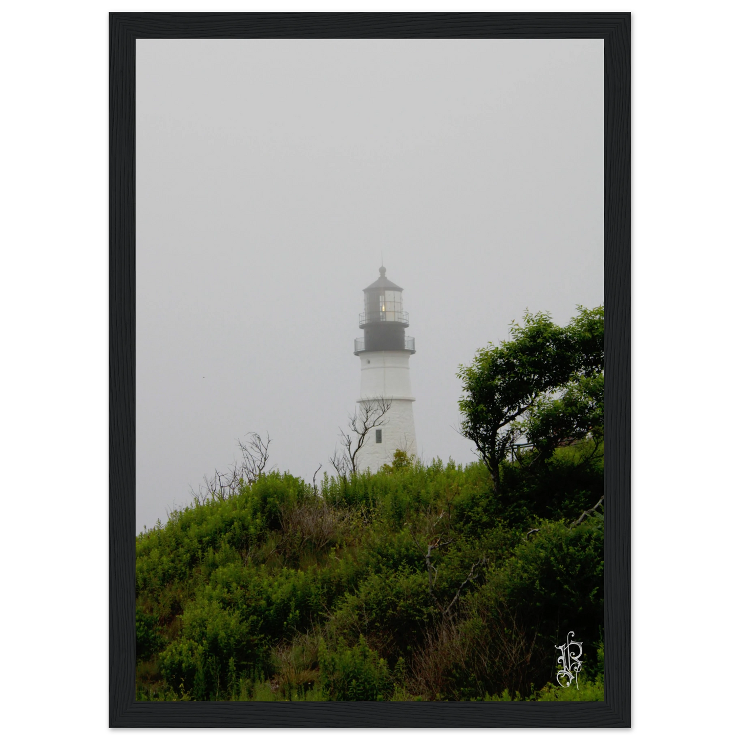 7372513d-d0e7-4975-ae20-e1b2c5c25263