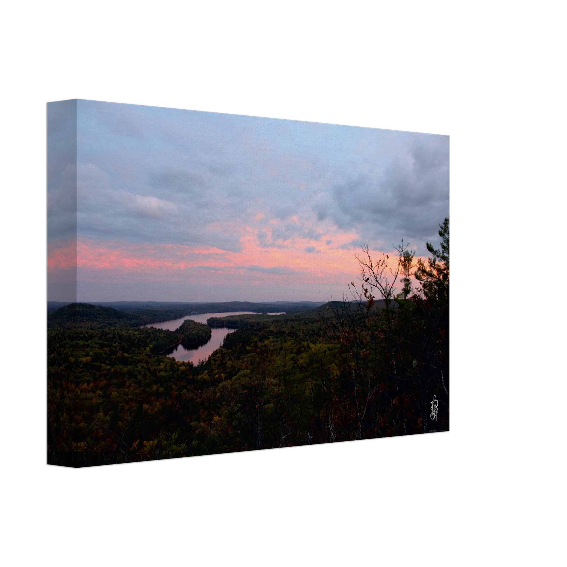 746a2431-c724-4ea9-9bab-330c1721f65c