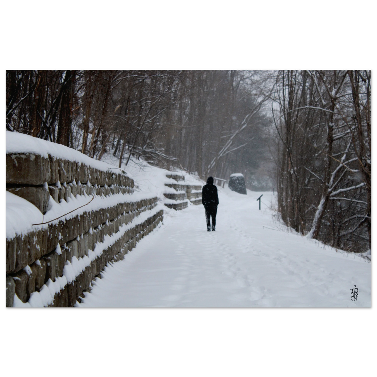 780f3a53-cd27-4de4-91a1-8e20cc0a0f23