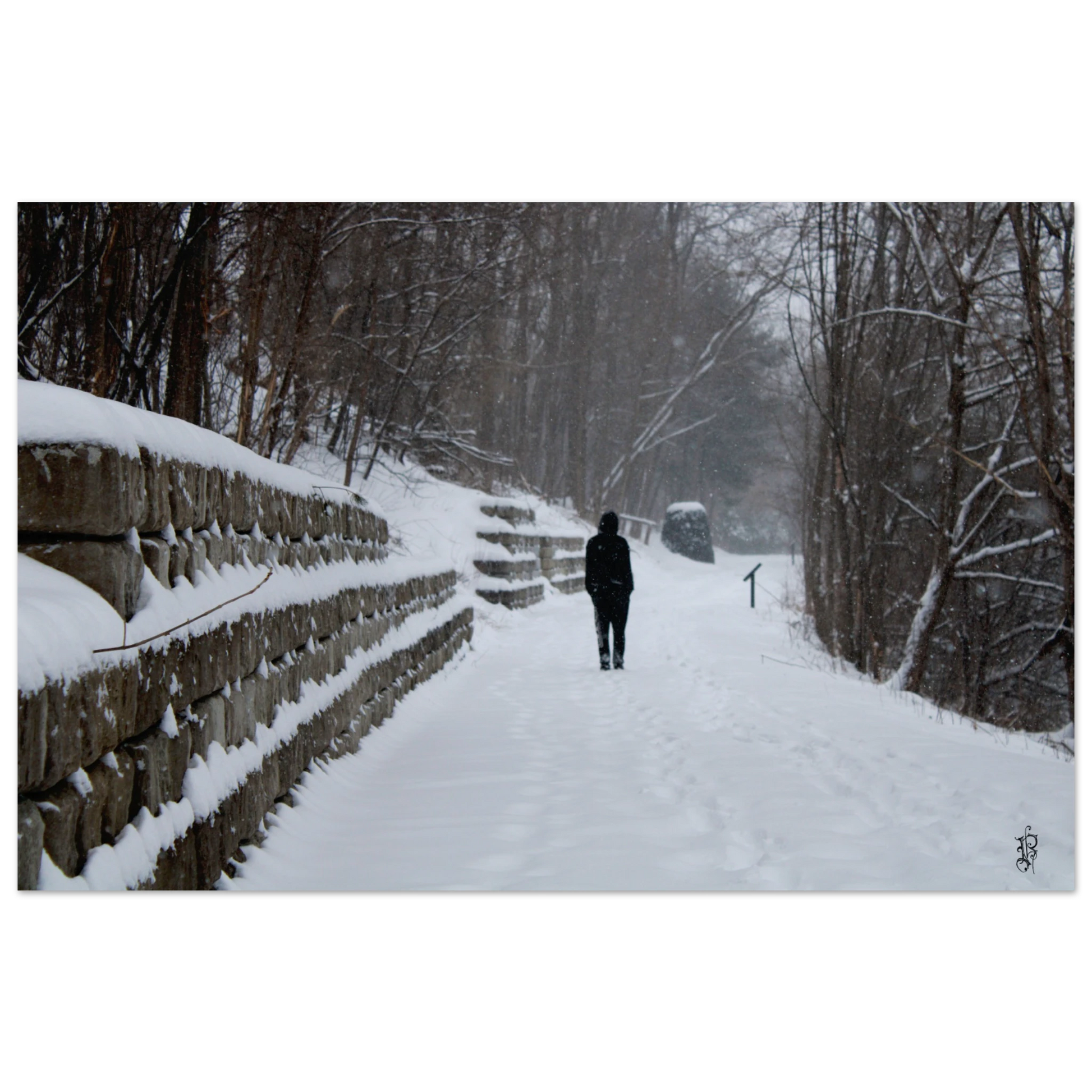 780f3a53-cd27-4de4-91a1-8e20cc0a0f23