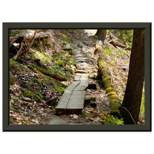 The Lonely Path Poster Gloss with Metal Frame