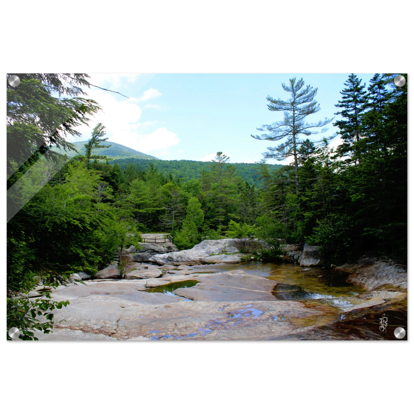 8495634c-ce2e-4384-9d96-e013a2dfcdae