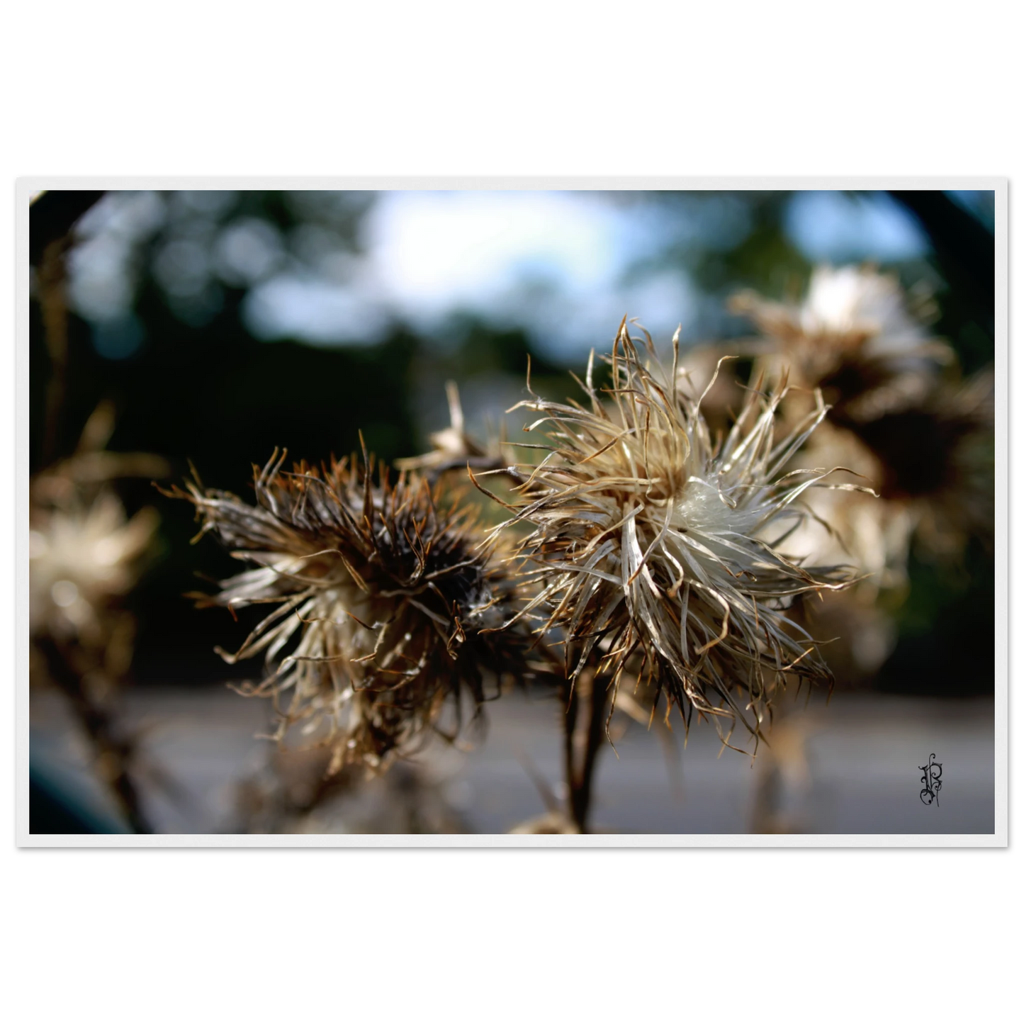 867396a0-88db-4f92-b646-24d17838f4df