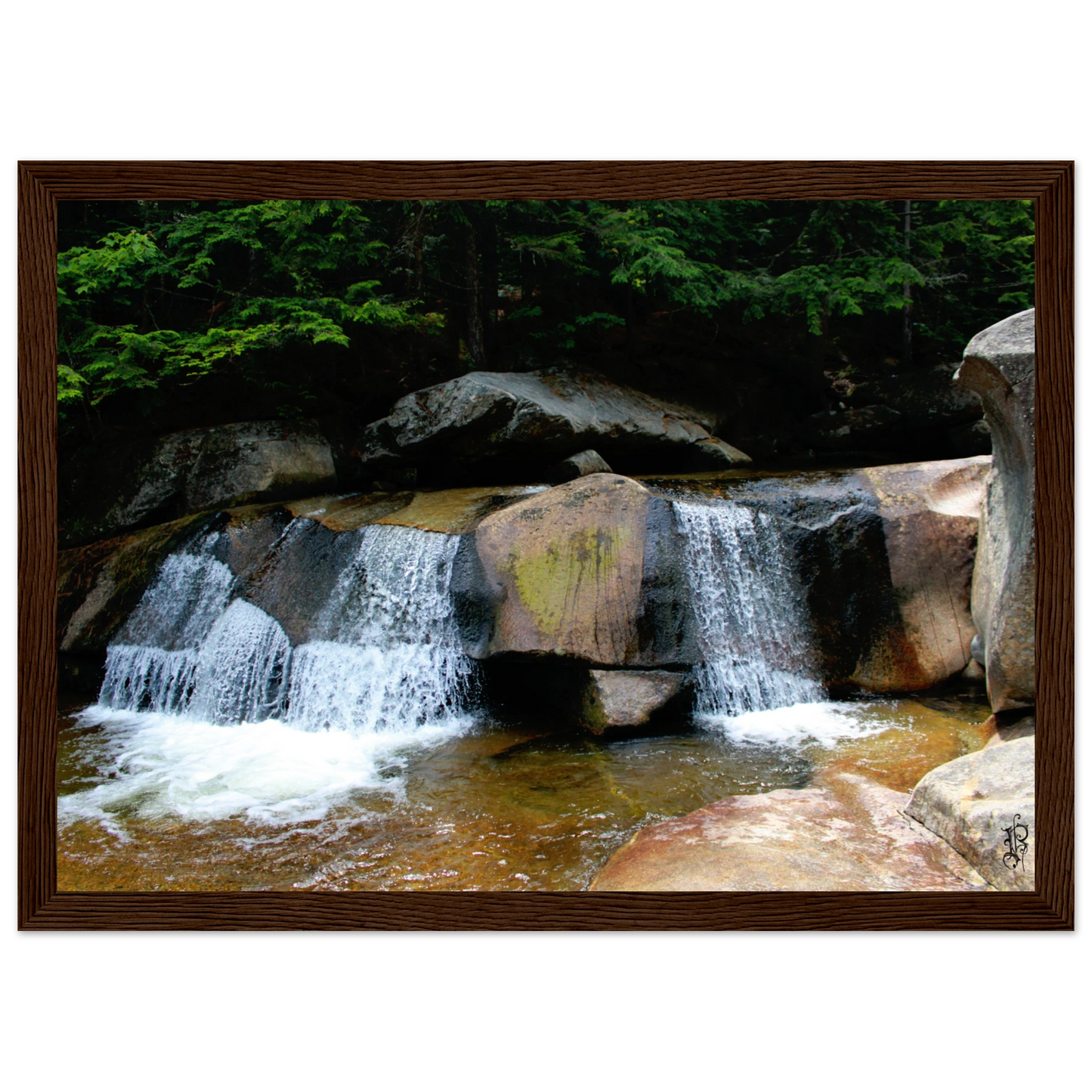 8877c566-2146-471a-a5ed-e9c6932843c2