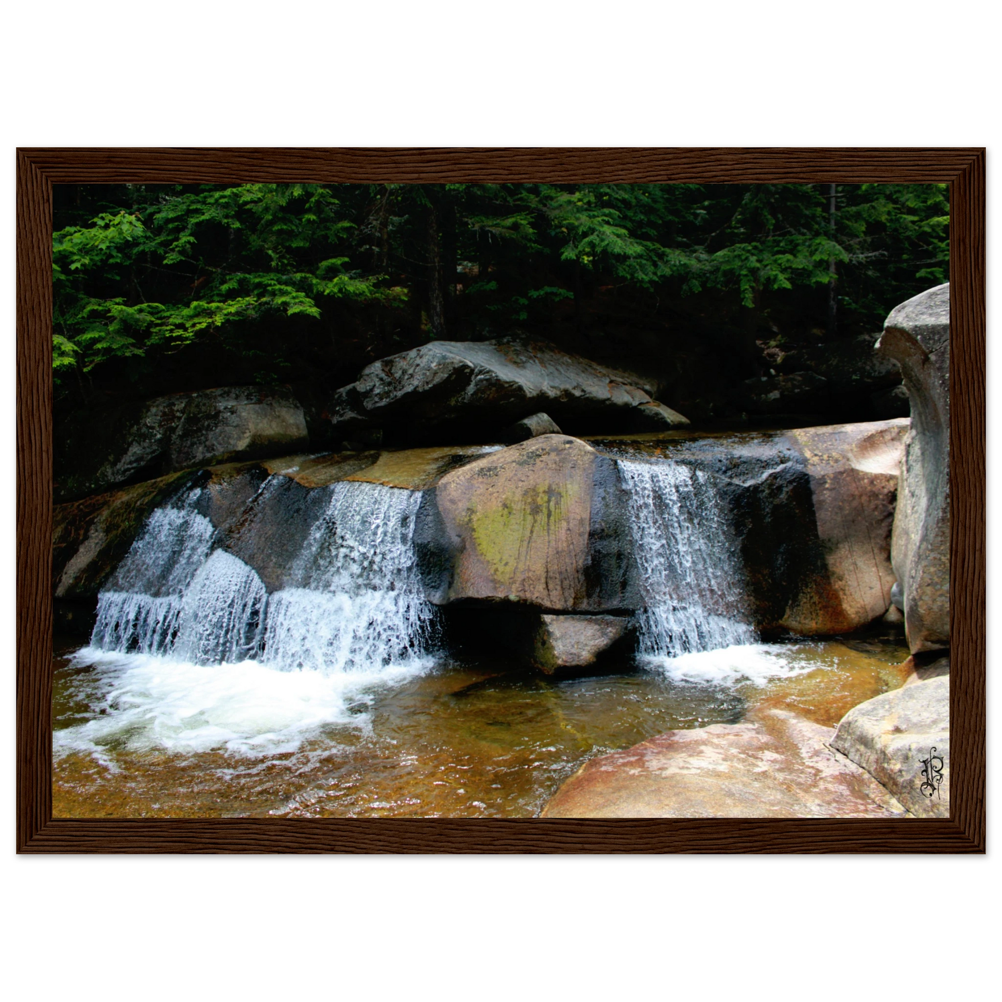 8877c566-2146-471a-a5ed-e9c6932843c2