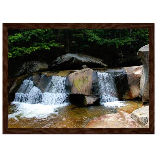 8877c566-2146-471a-a5ed-e9c6932843c2