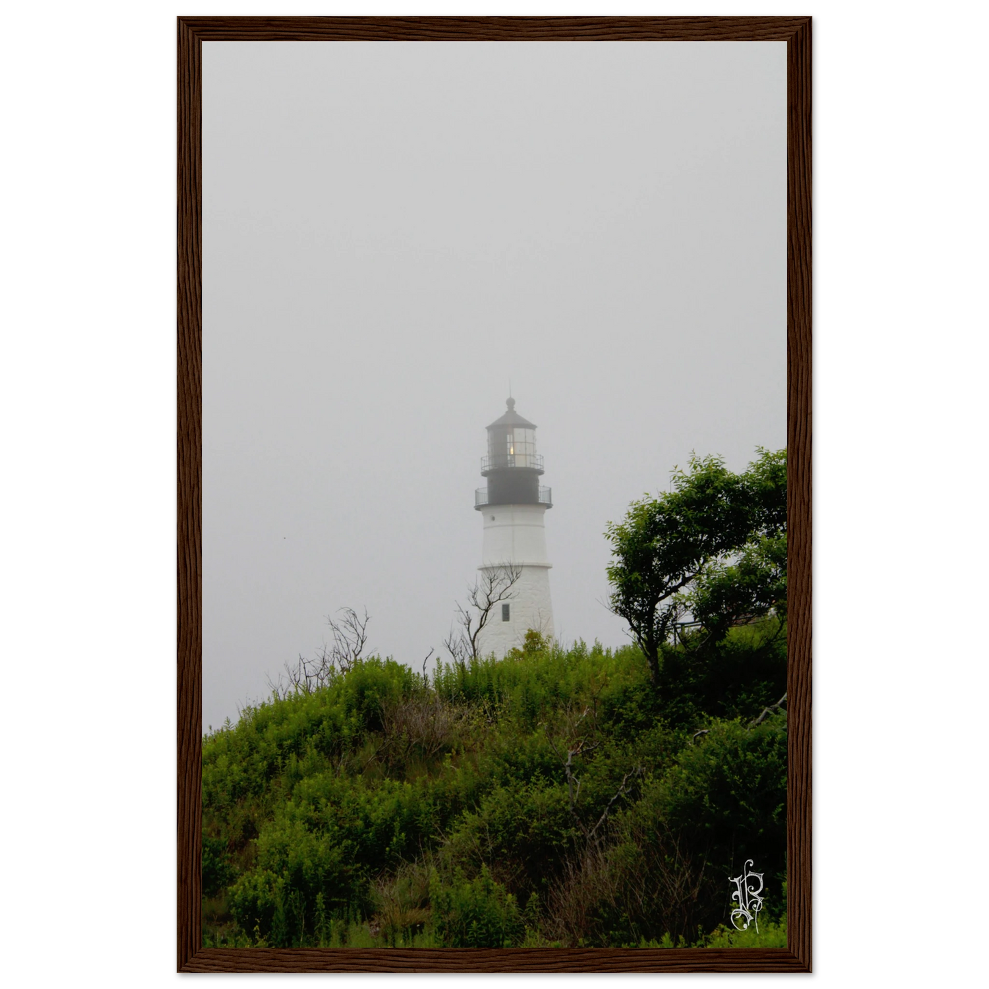 93bd2534-7c6e-487e-80e1-bf727e1e00f7