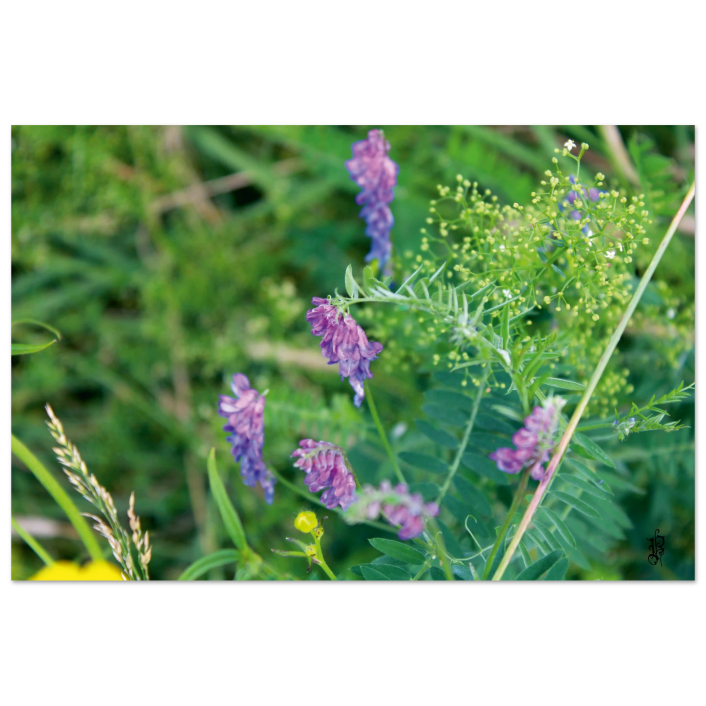 9424269c-656b-44f8-b987-f105f76db24b