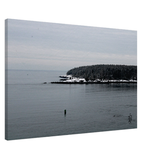 974cc591-488b-40db-8717-1b48d0f51785