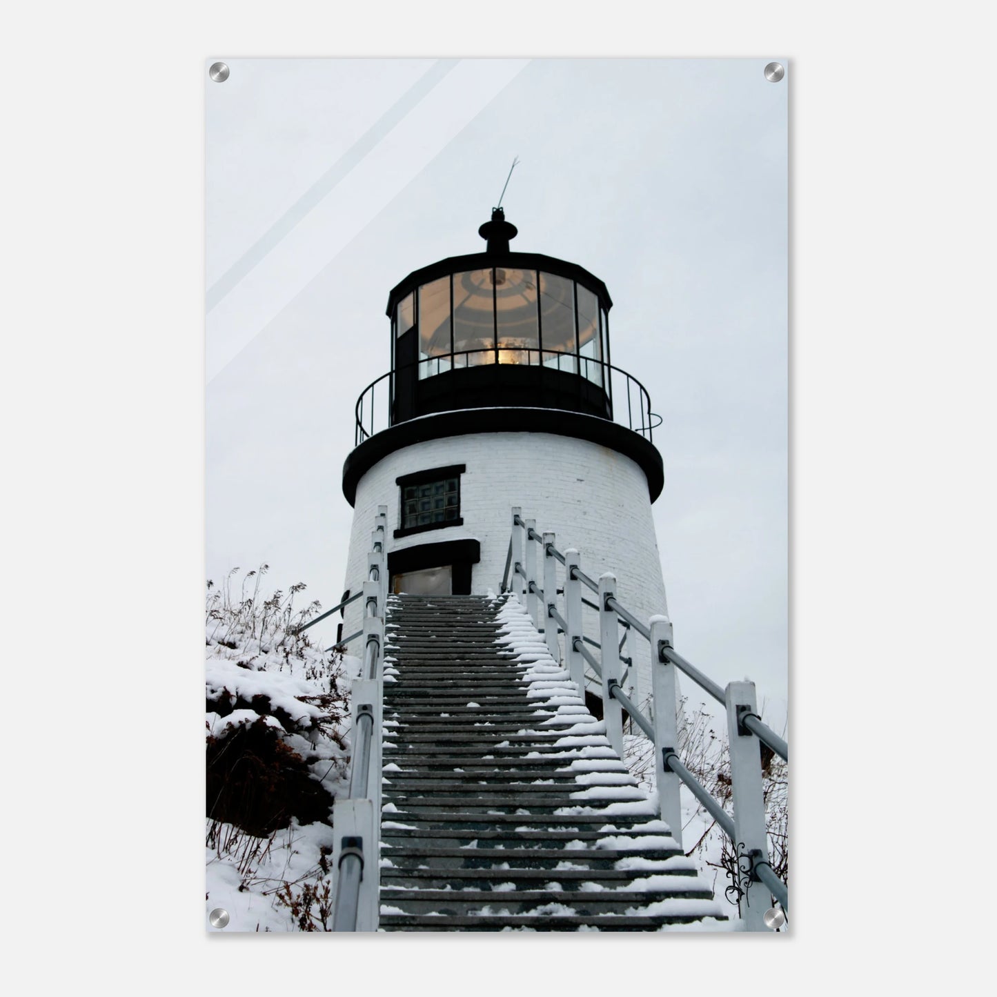 a1fa2d32-8d30-4a4c-ae7d-34e254ff278c