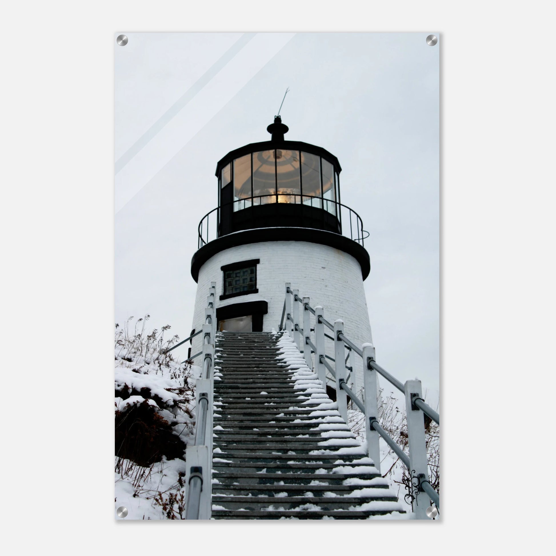 a1fa2d32-8d30-4a4c-ae7d-34e254ff278c