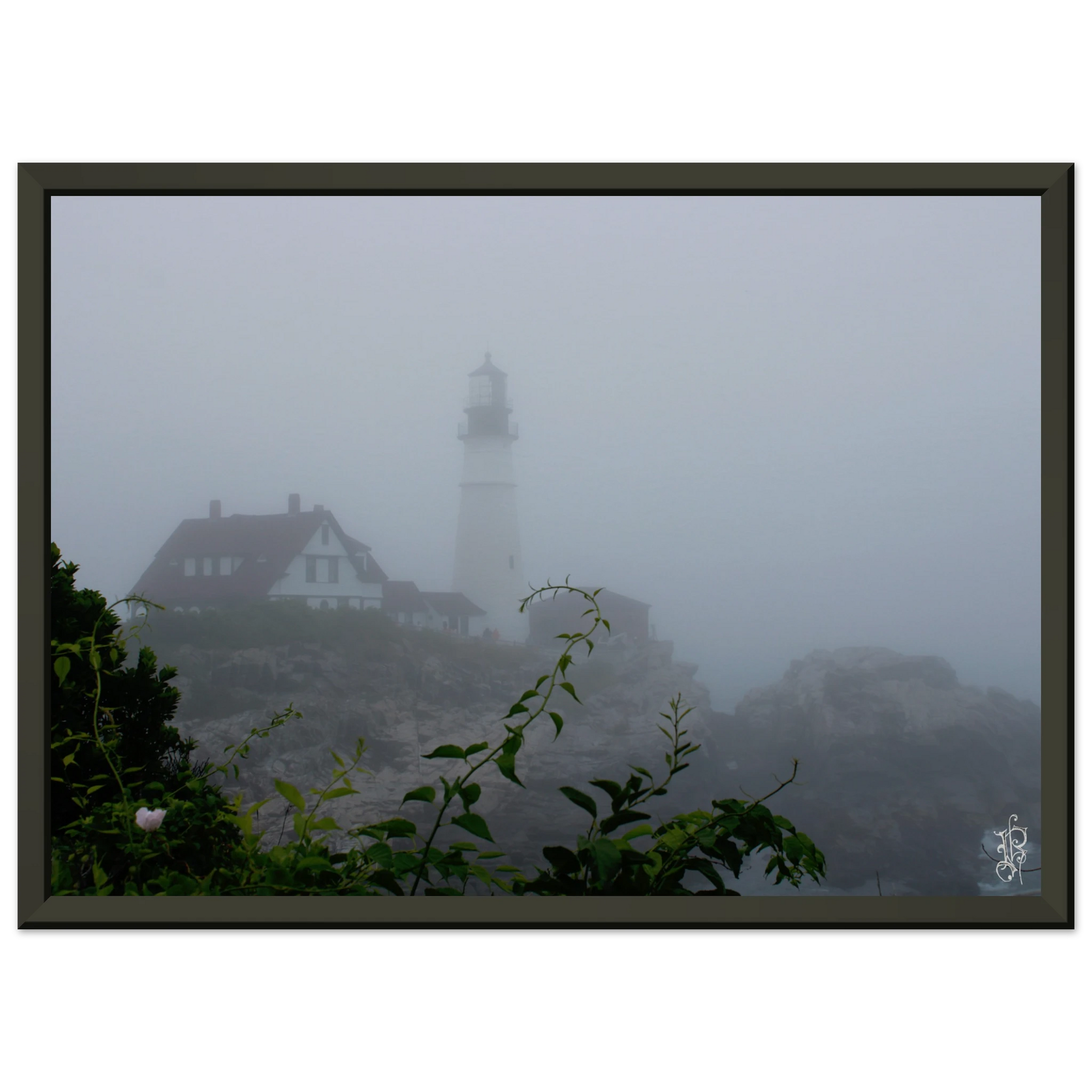 a2a9d9c4-a8ef-45f0-8ee1-3e63c49ea9ea