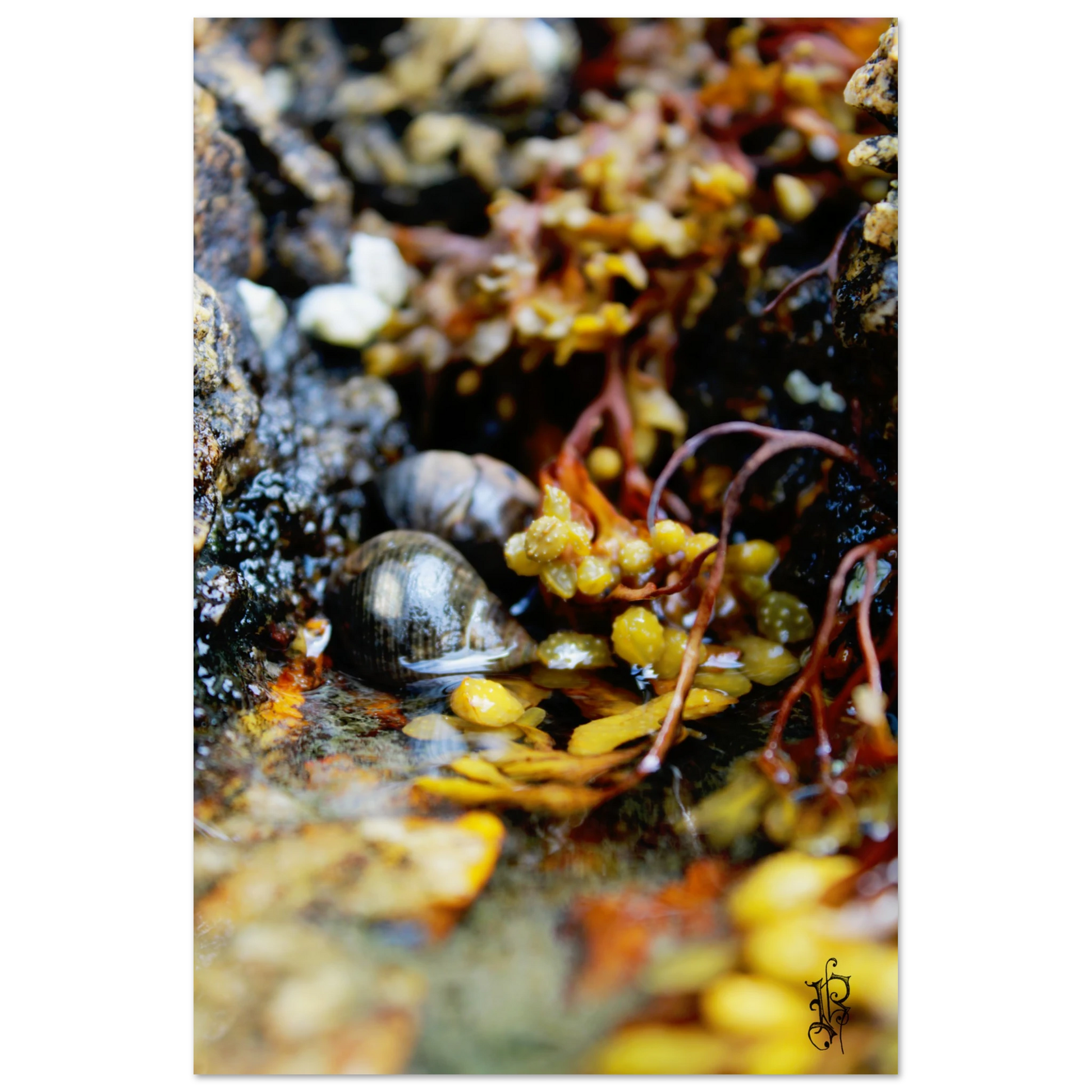 a4072534-1943-4869-b0ef-b052cd7a9605