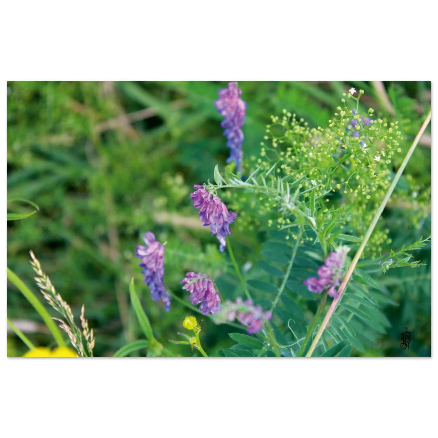 b97a2740-ac2e-40d6-87a7-eba135c420cc