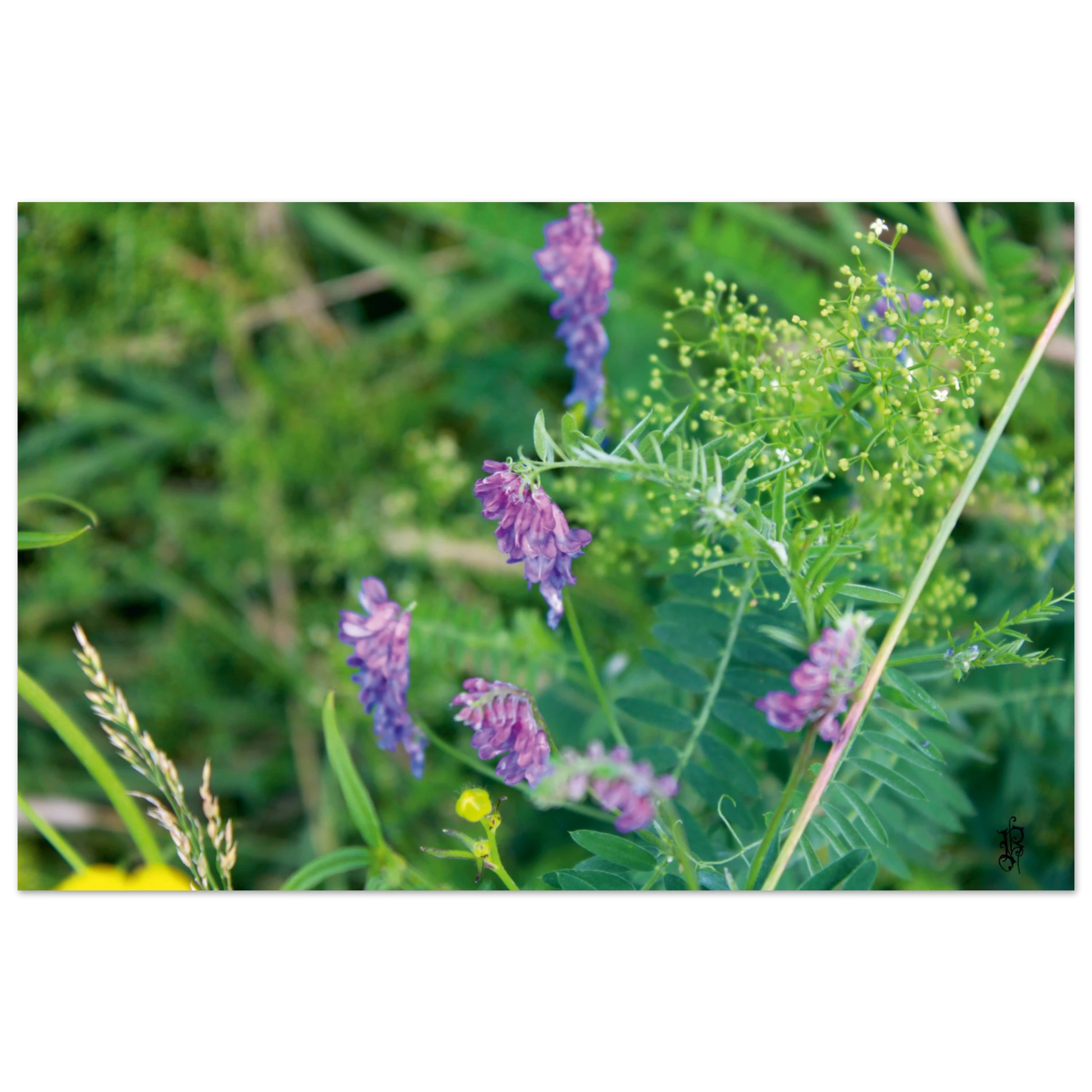 b97a2740-ac2e-40d6-87a7-eba135c420cc