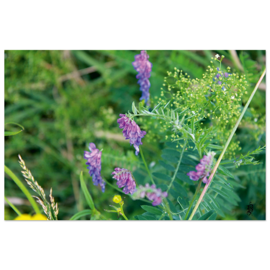 b97a2740-ac2e-40d6-87a7-eba135c420cc