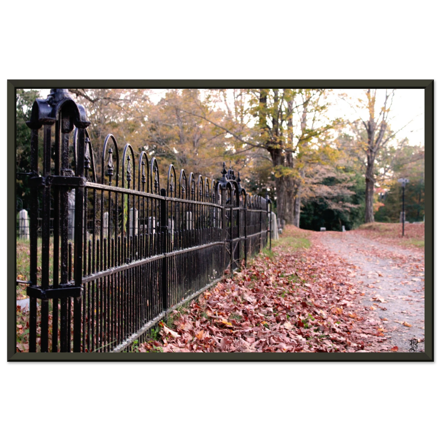 bd476a94-17c5-45ae-8cda-2a0fea0c8fef